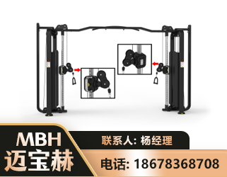 大连大飞鸟训练器